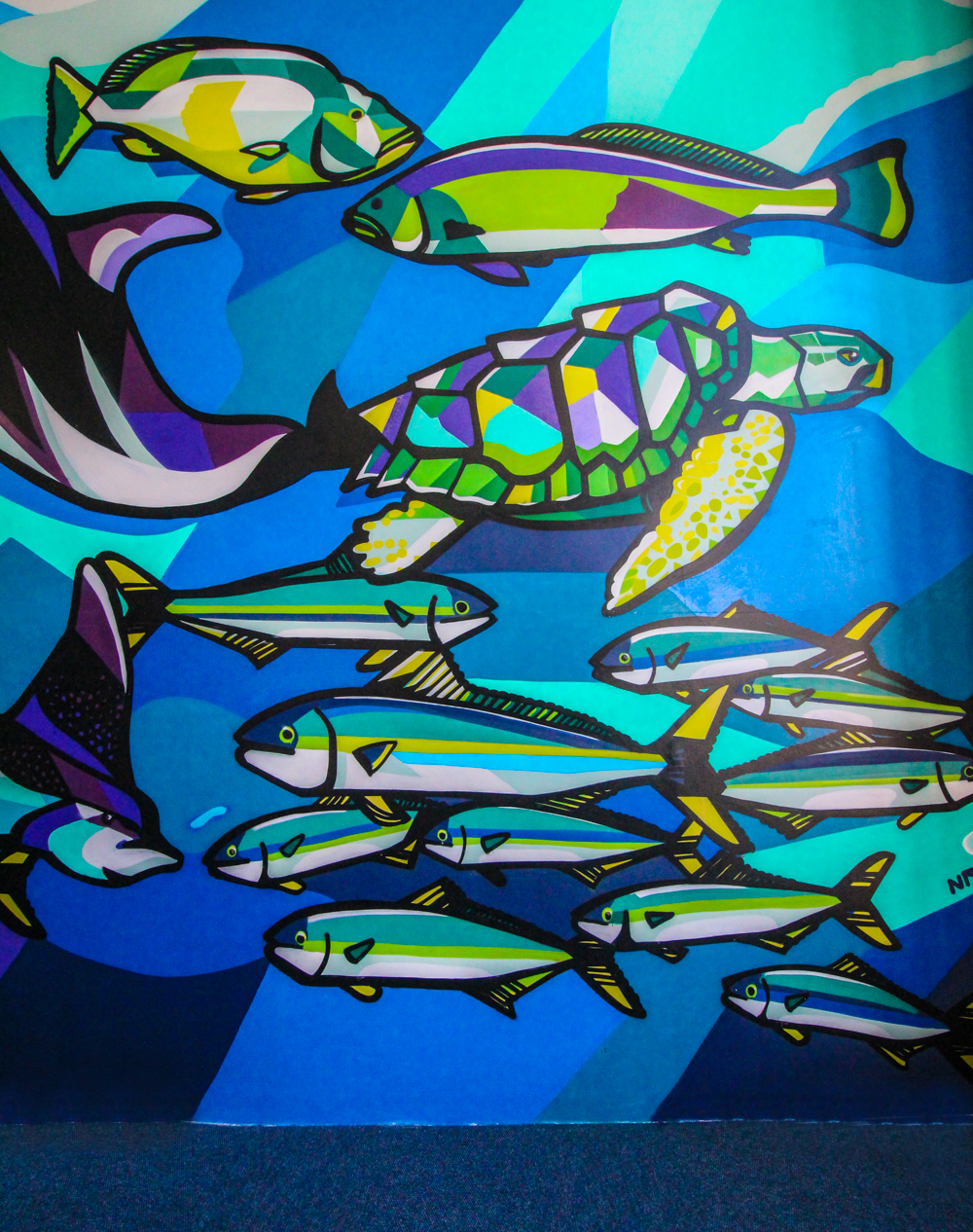 2Oceans Aquarium | How Far From Home
