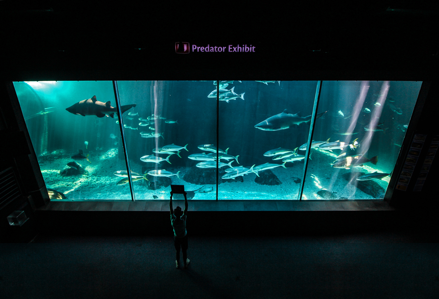 2Oceans Aquarium | How Far From Home