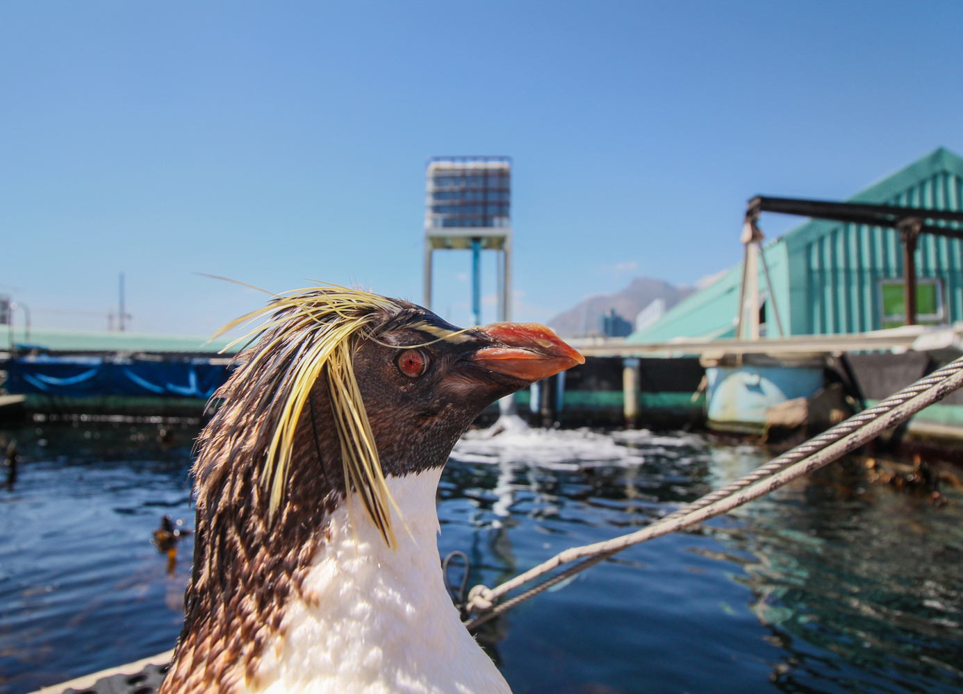 2Oceans Aquarium | How Far From Home
