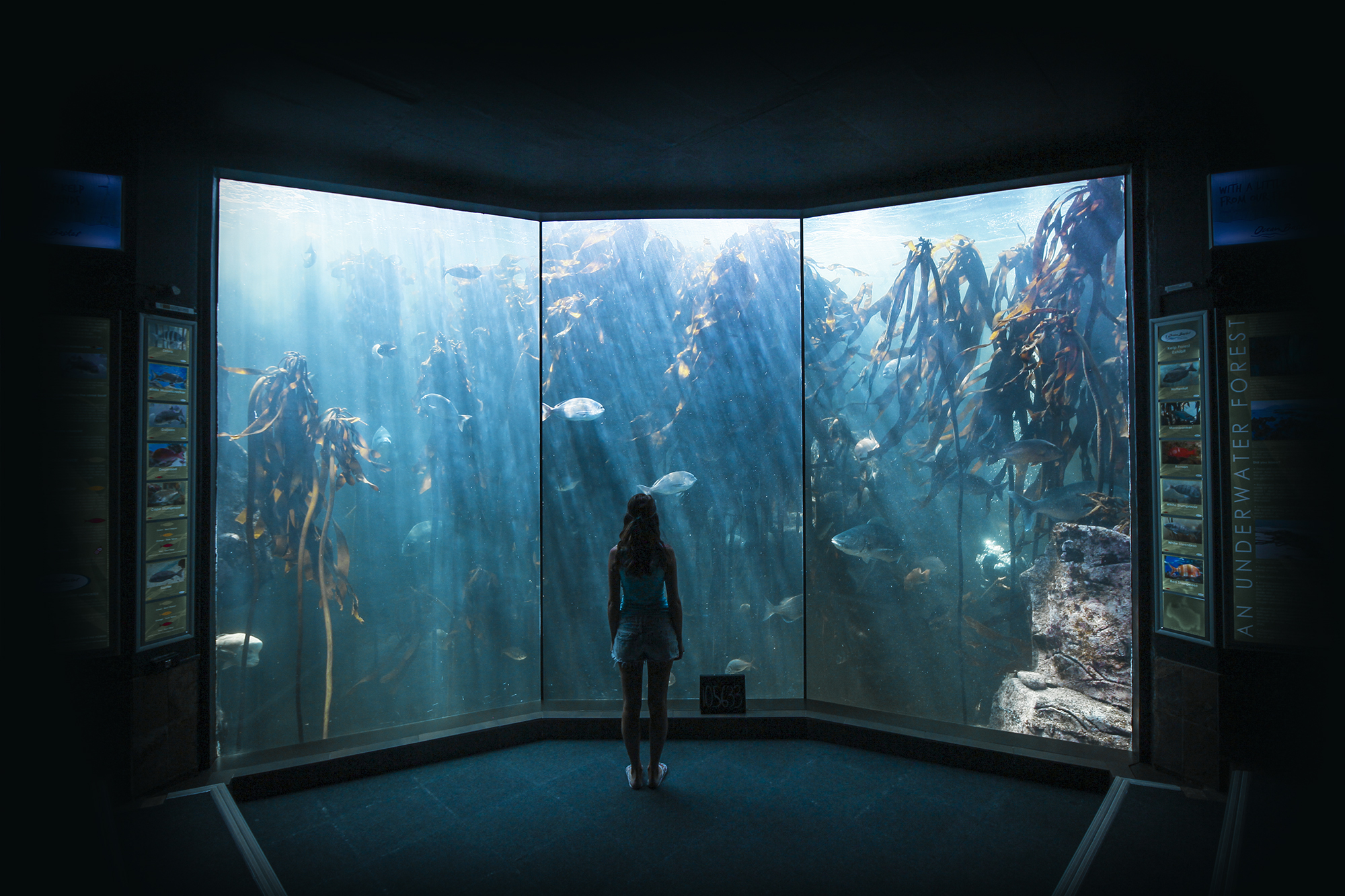 2Oceans Aquarium | How Far From Home