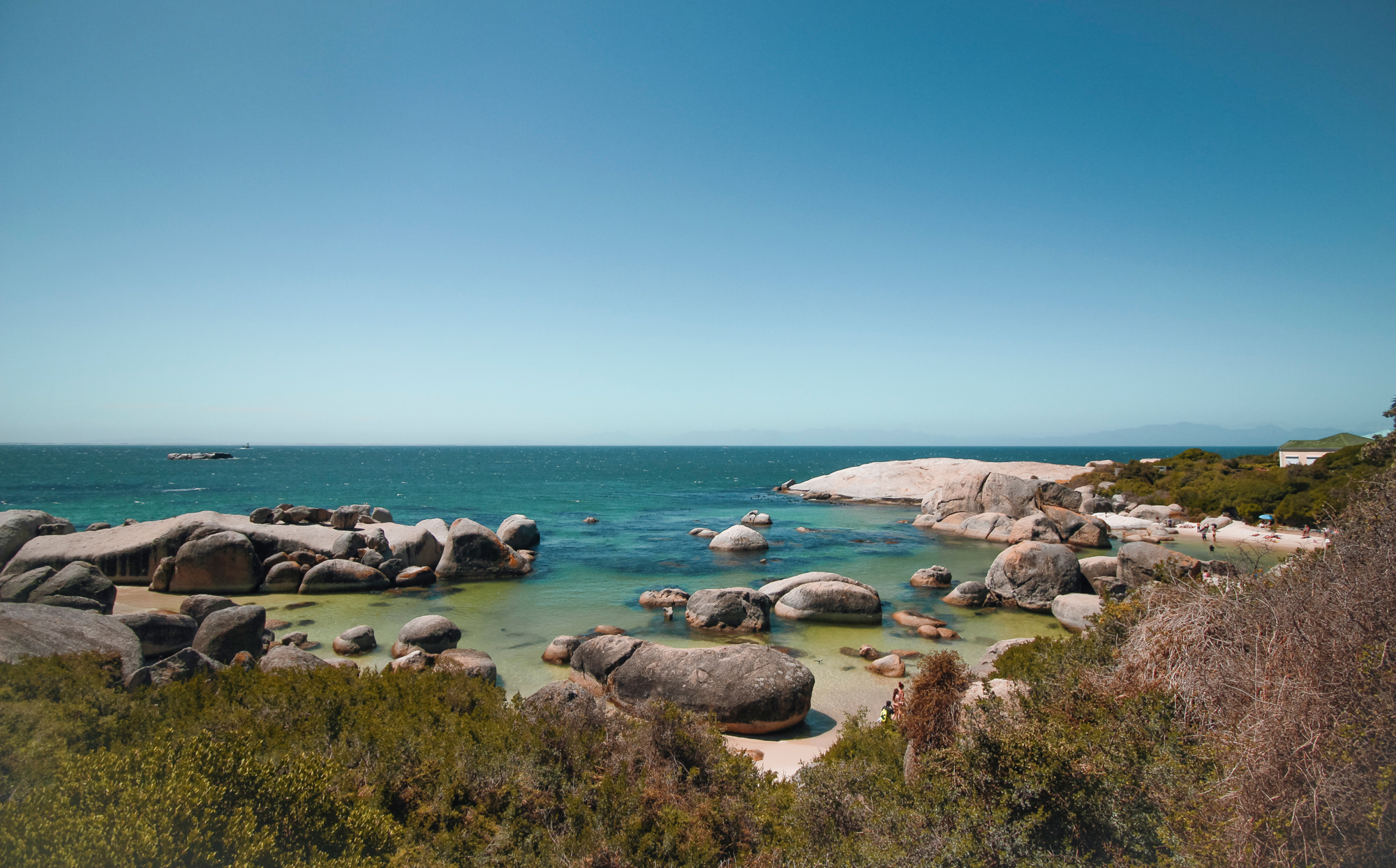 Penguin Colony near Cape Town, South Africa