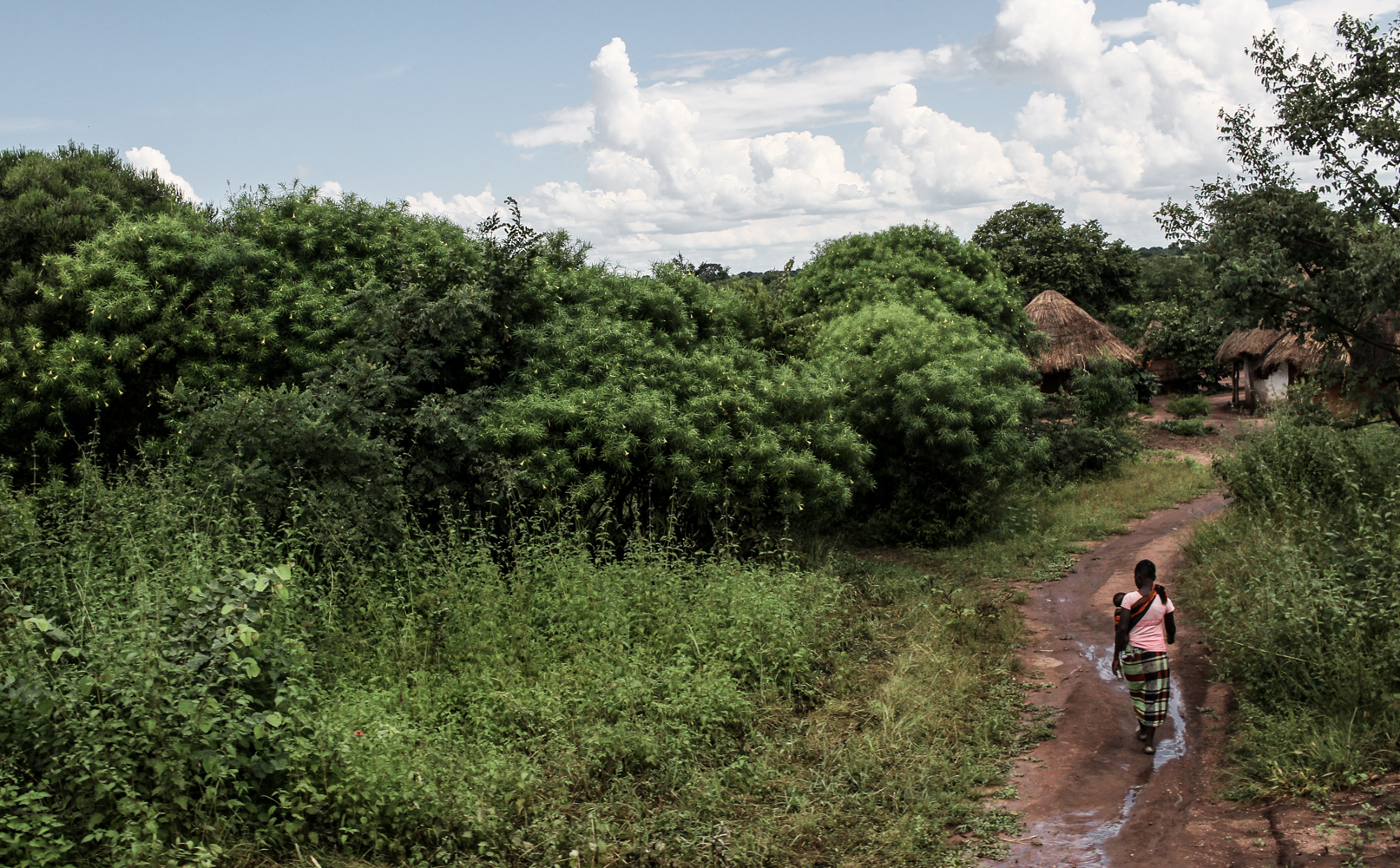 Zambia | How Far From Home