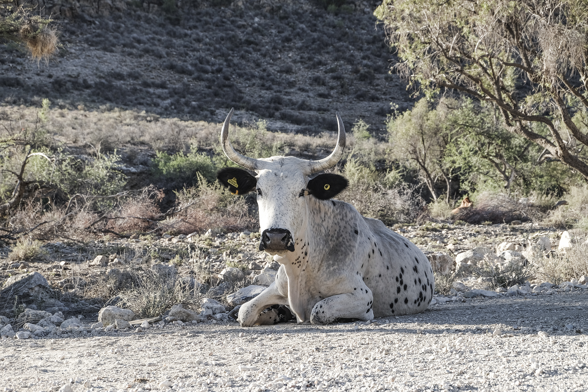 Namibia | How Far From Home