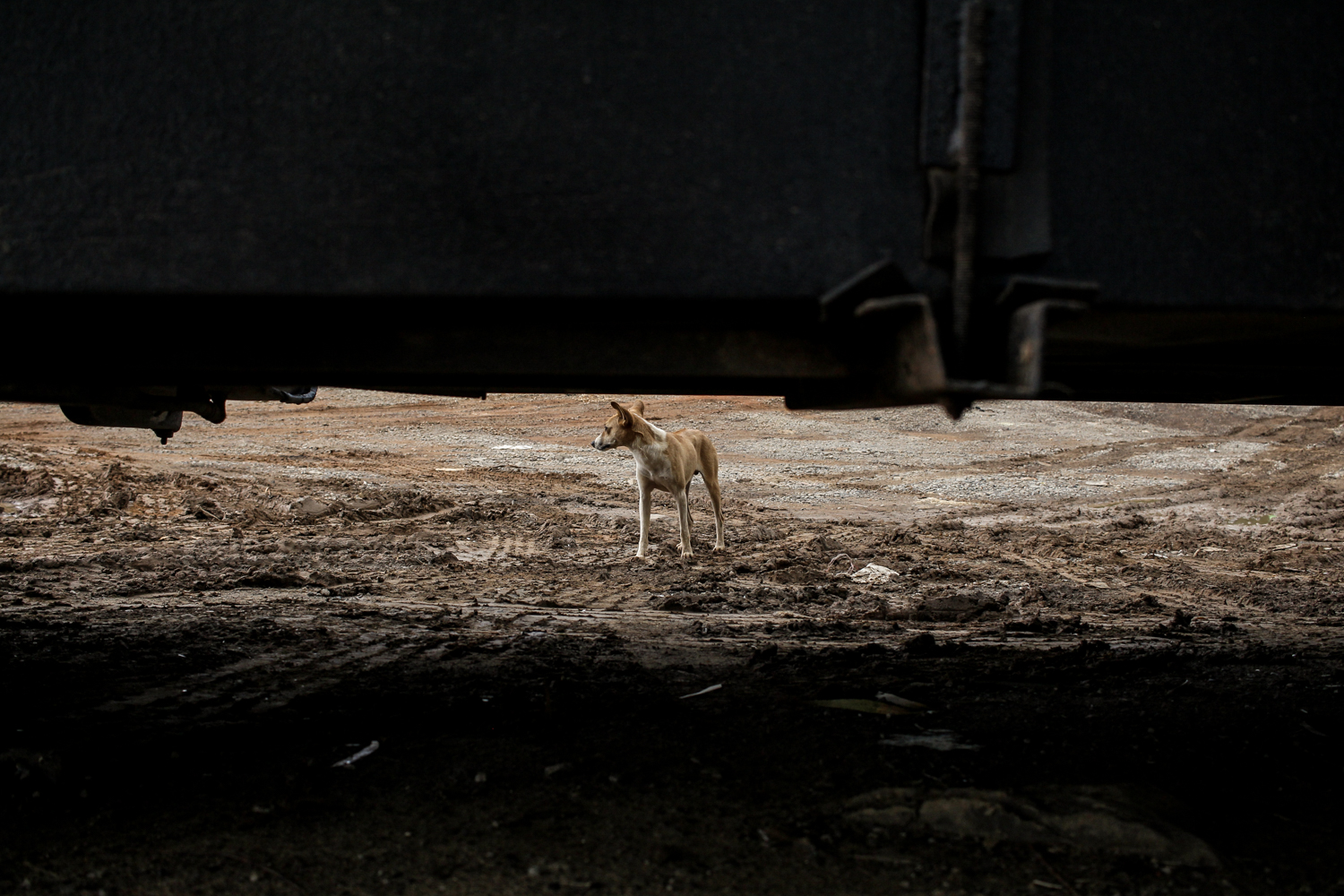 Malawi | How Far From Home
