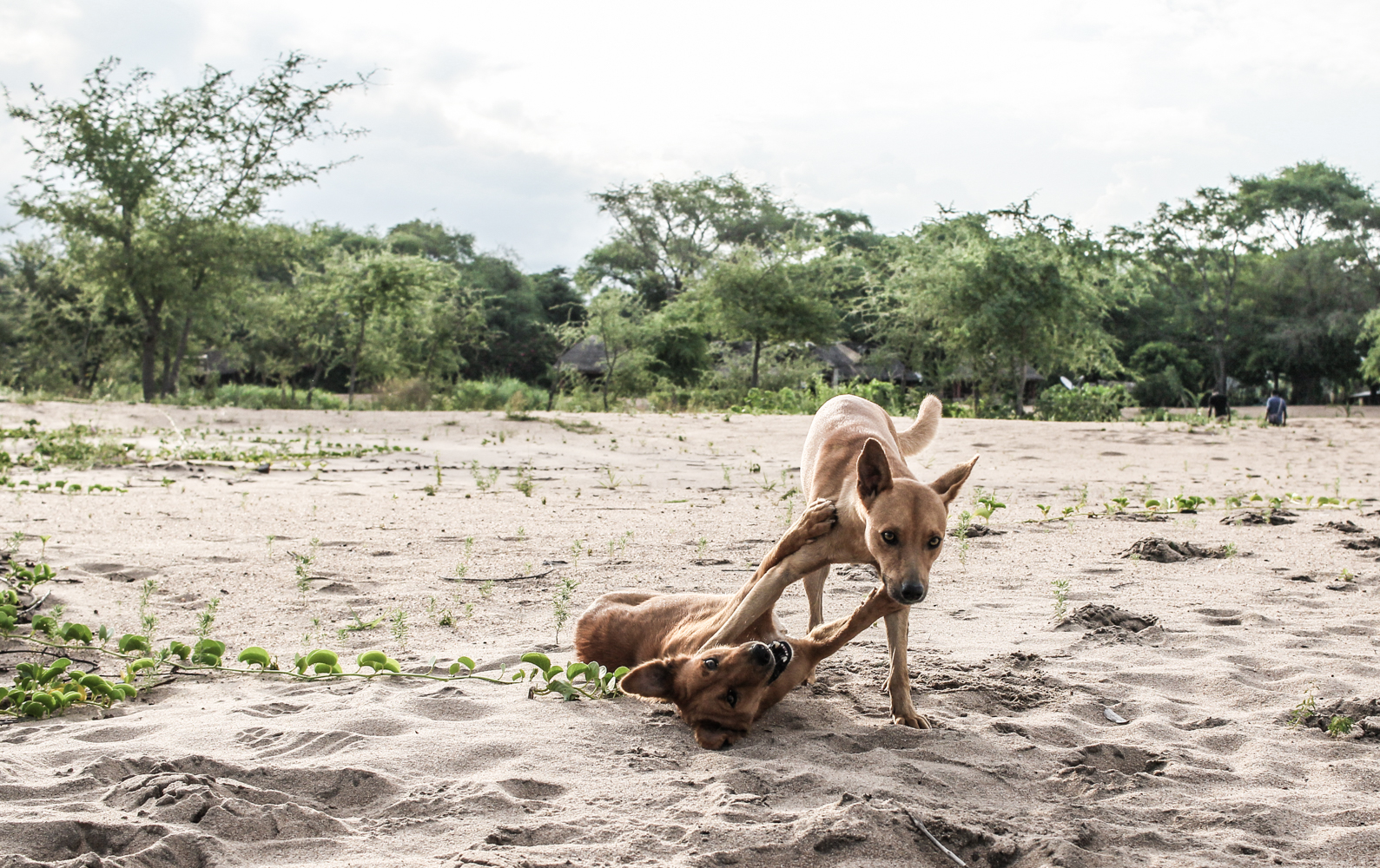 Malawi | How Far From Home