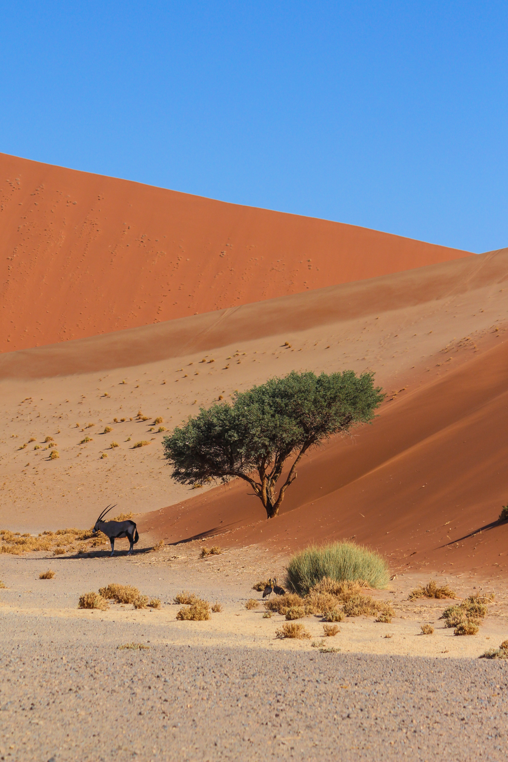 Namibia | How Far From Home