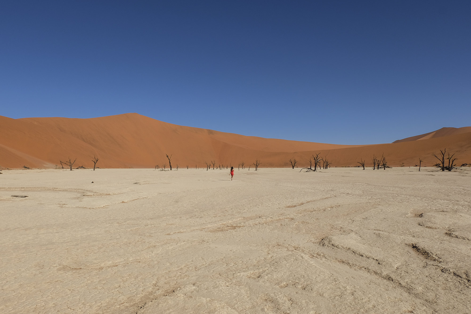 Namibia | How Far From Home