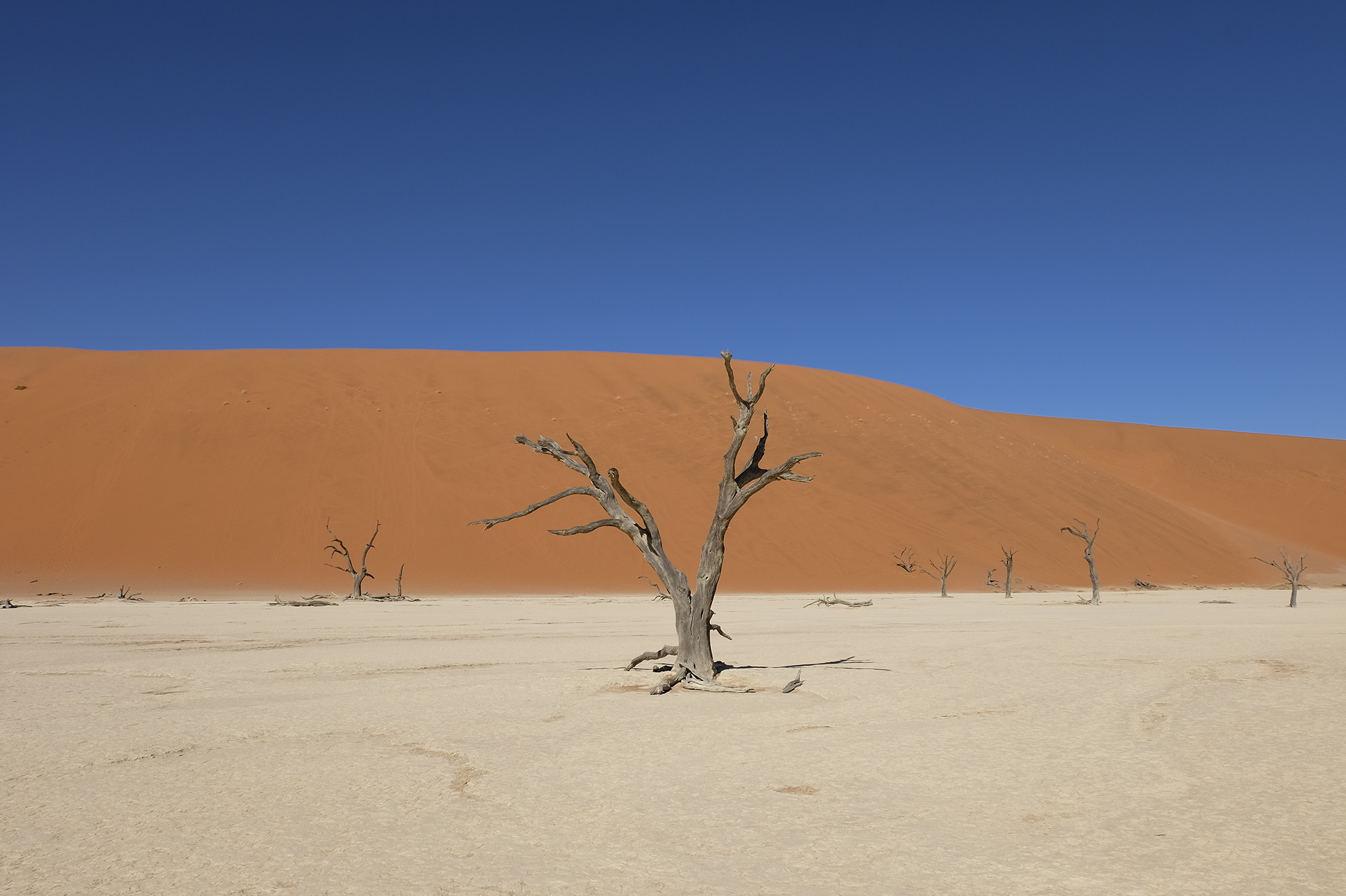 Namibia | How Far From Home
