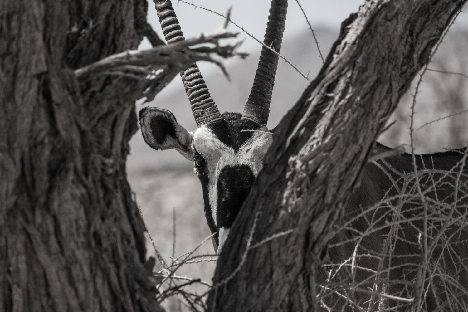Namibia | How Far From Home