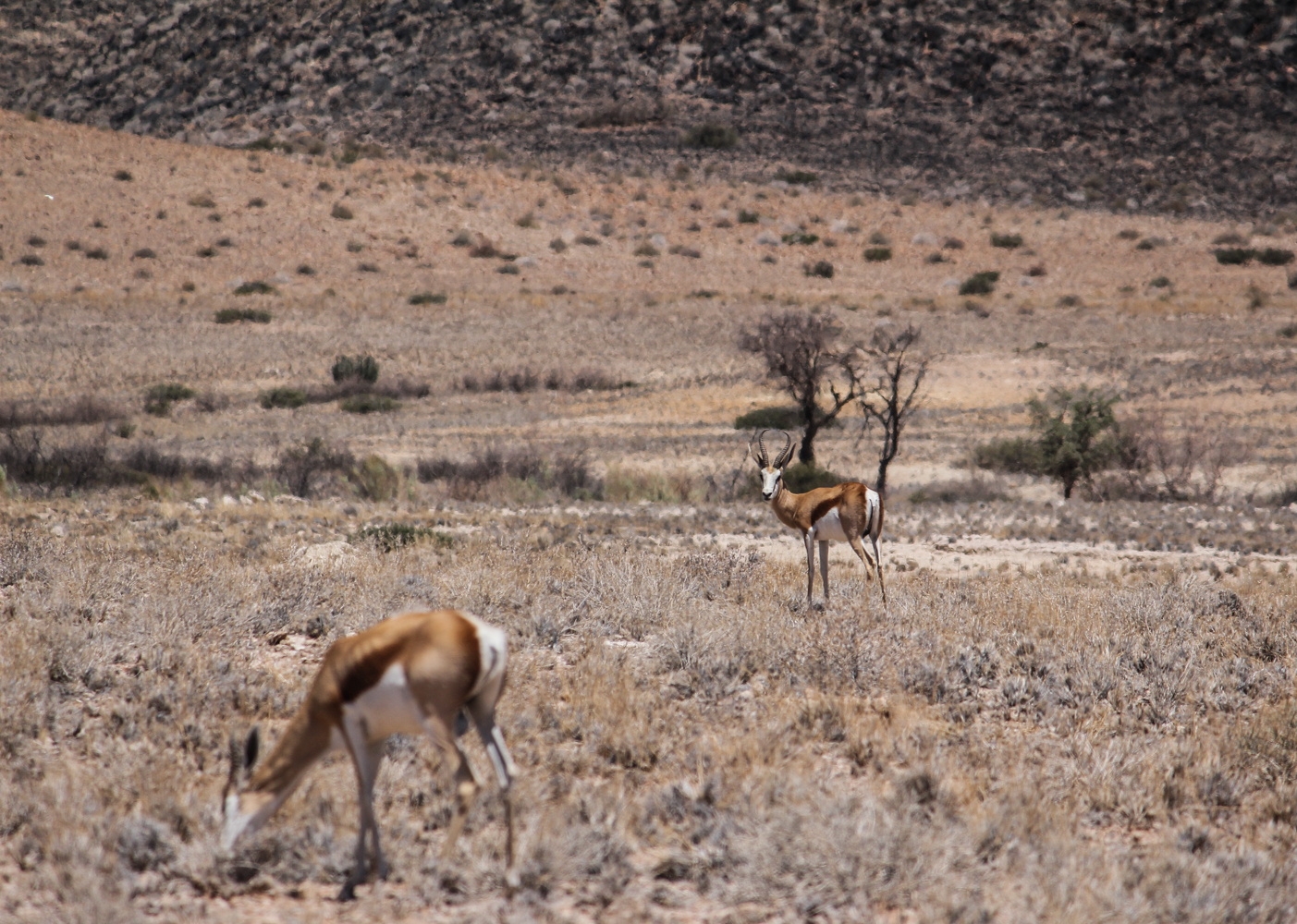 Namibia | How Far From Home