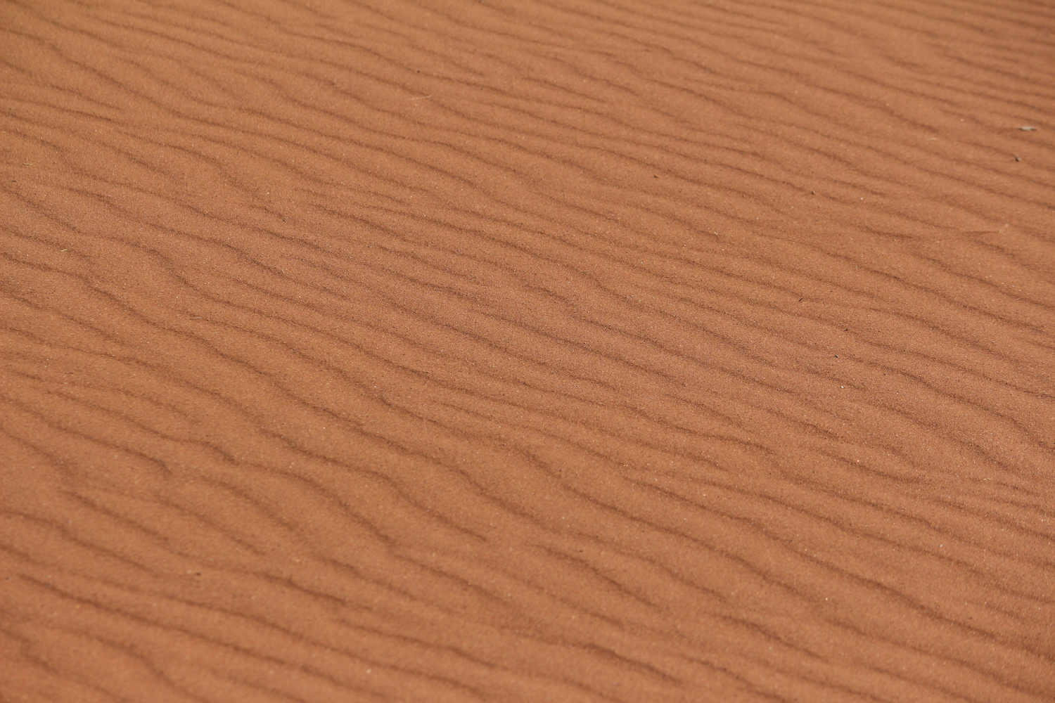 Namibia | How Far From Home