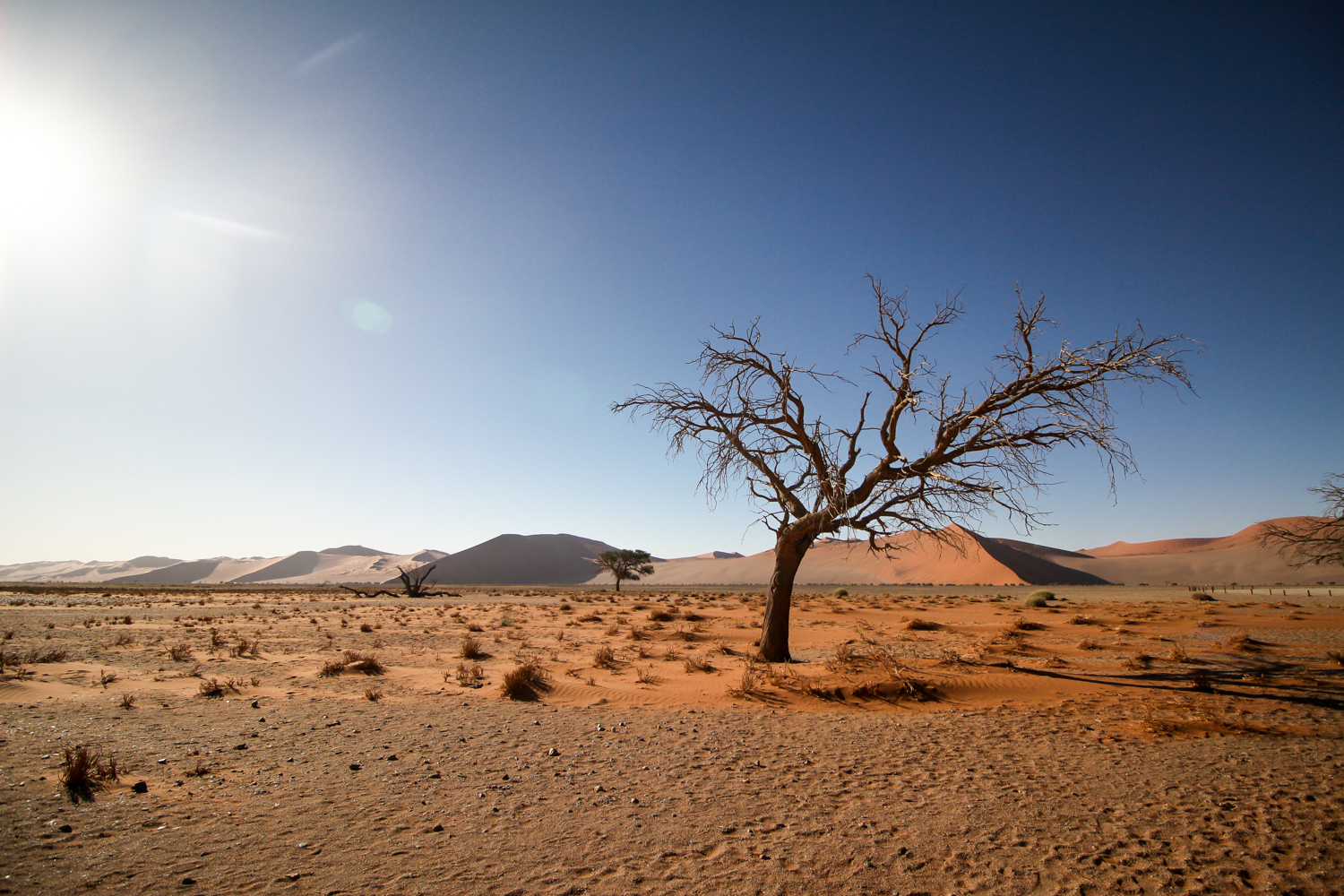 Namibia | How Far From Home