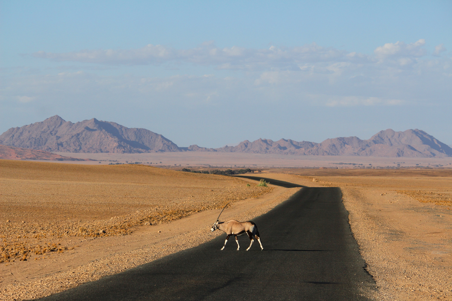 Namibia | How Far From Home