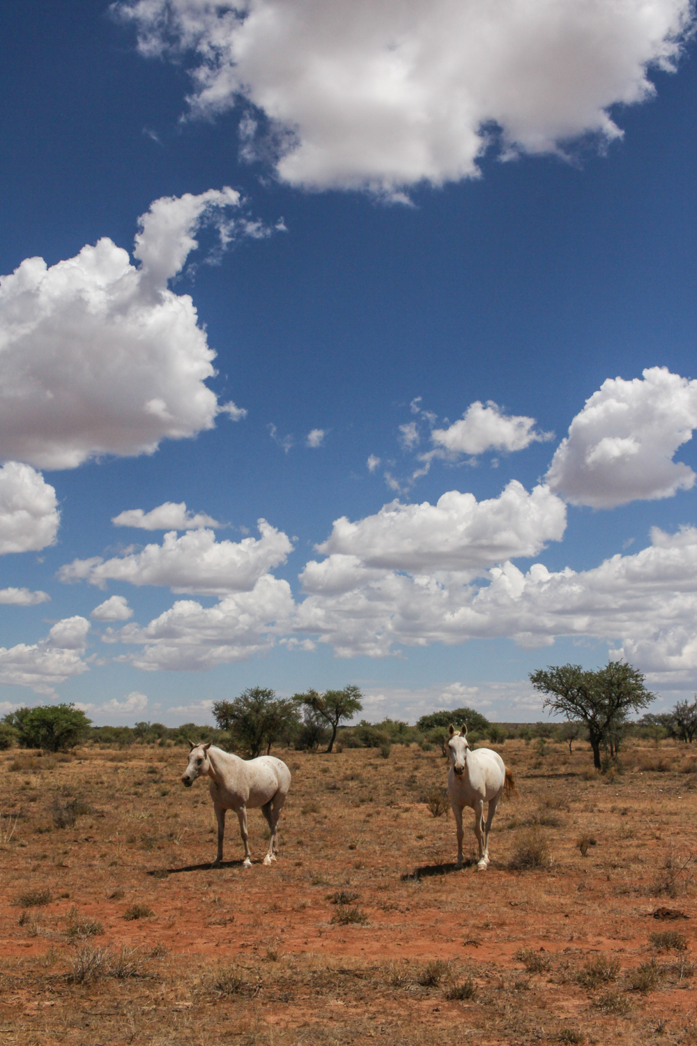 Namibia | How Far From Home