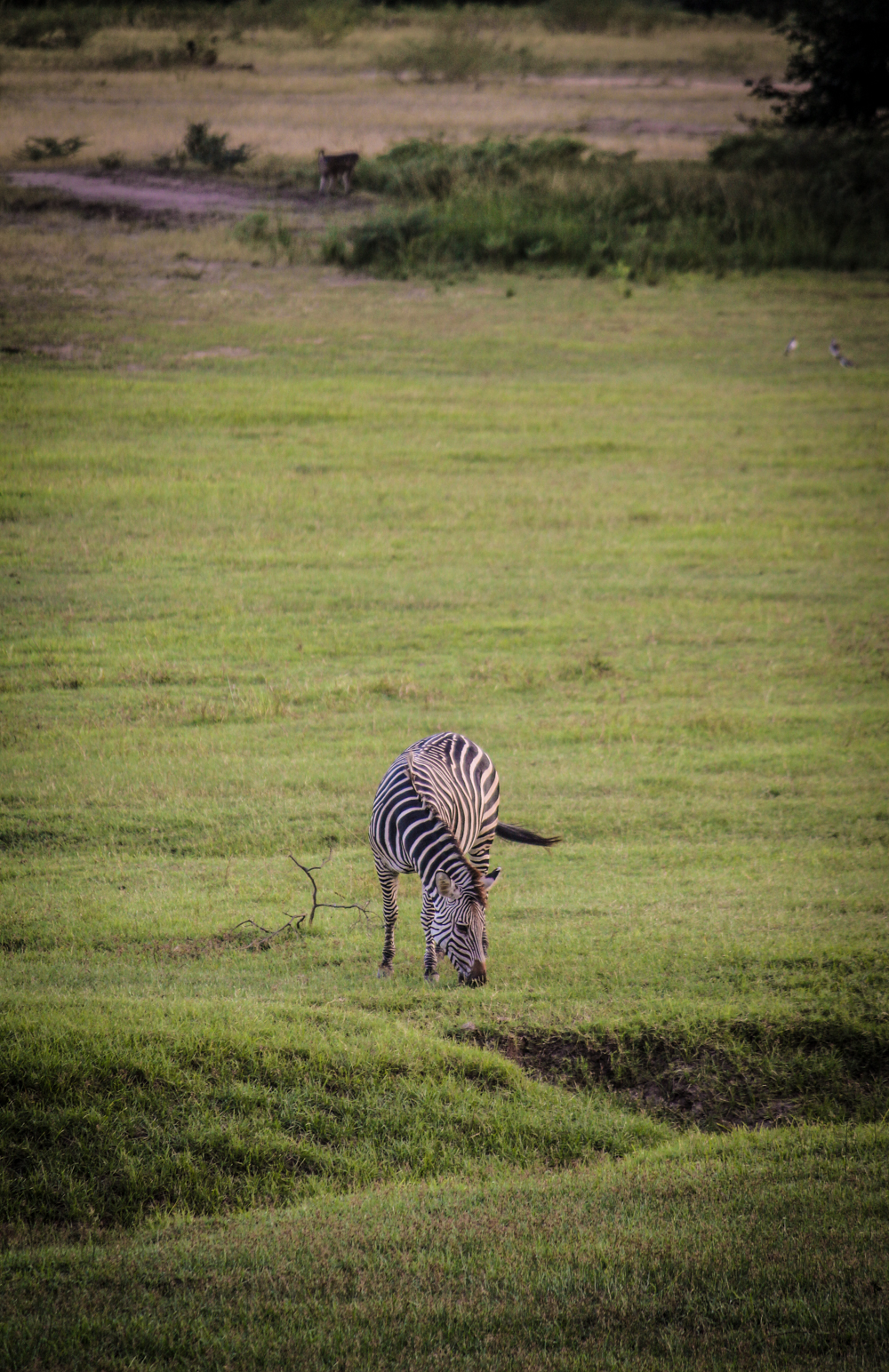 South Luangwa Zambia | How Far From Home