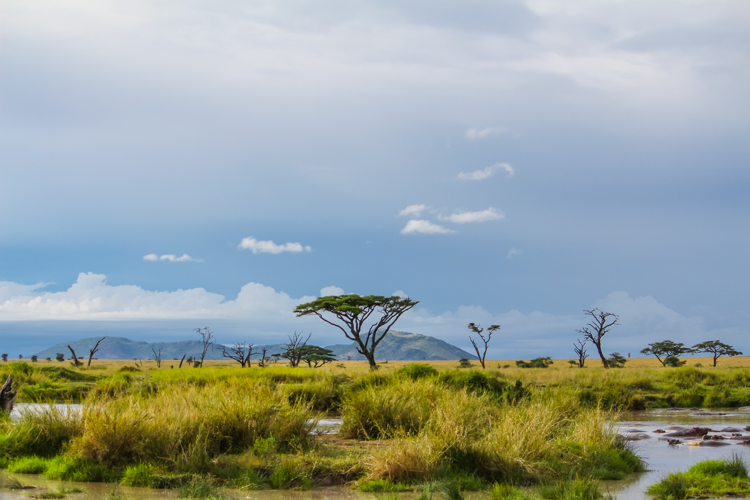 Serengeti Ngorongoro | How Far From Home