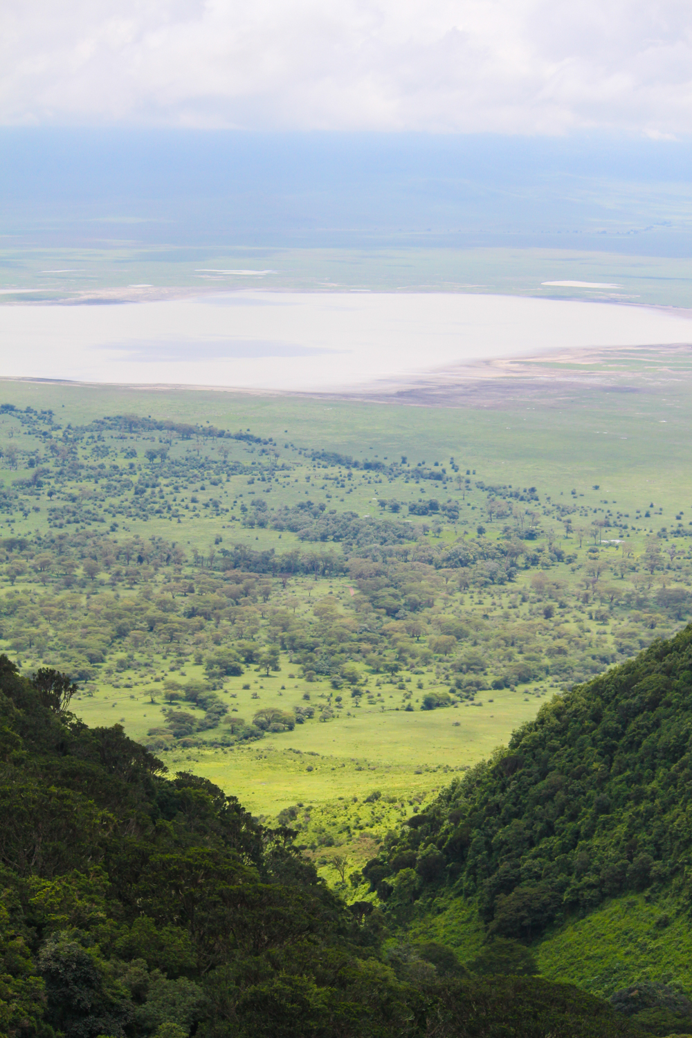 Serengeti Ngorongoro | How Far From Home