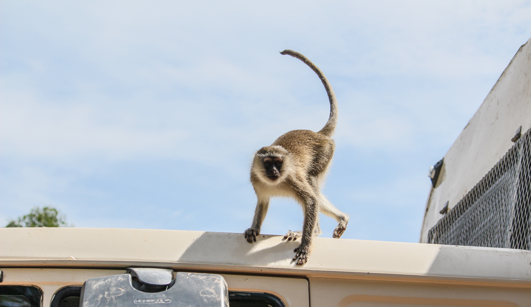 East Africa | How Far From Home
