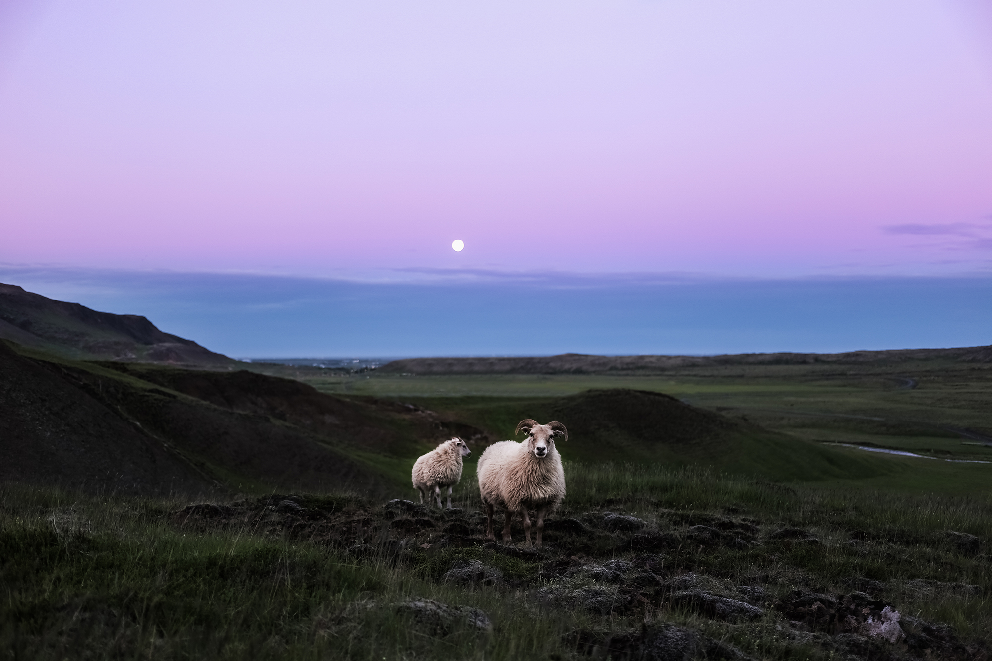 Iceland | How Far From Home