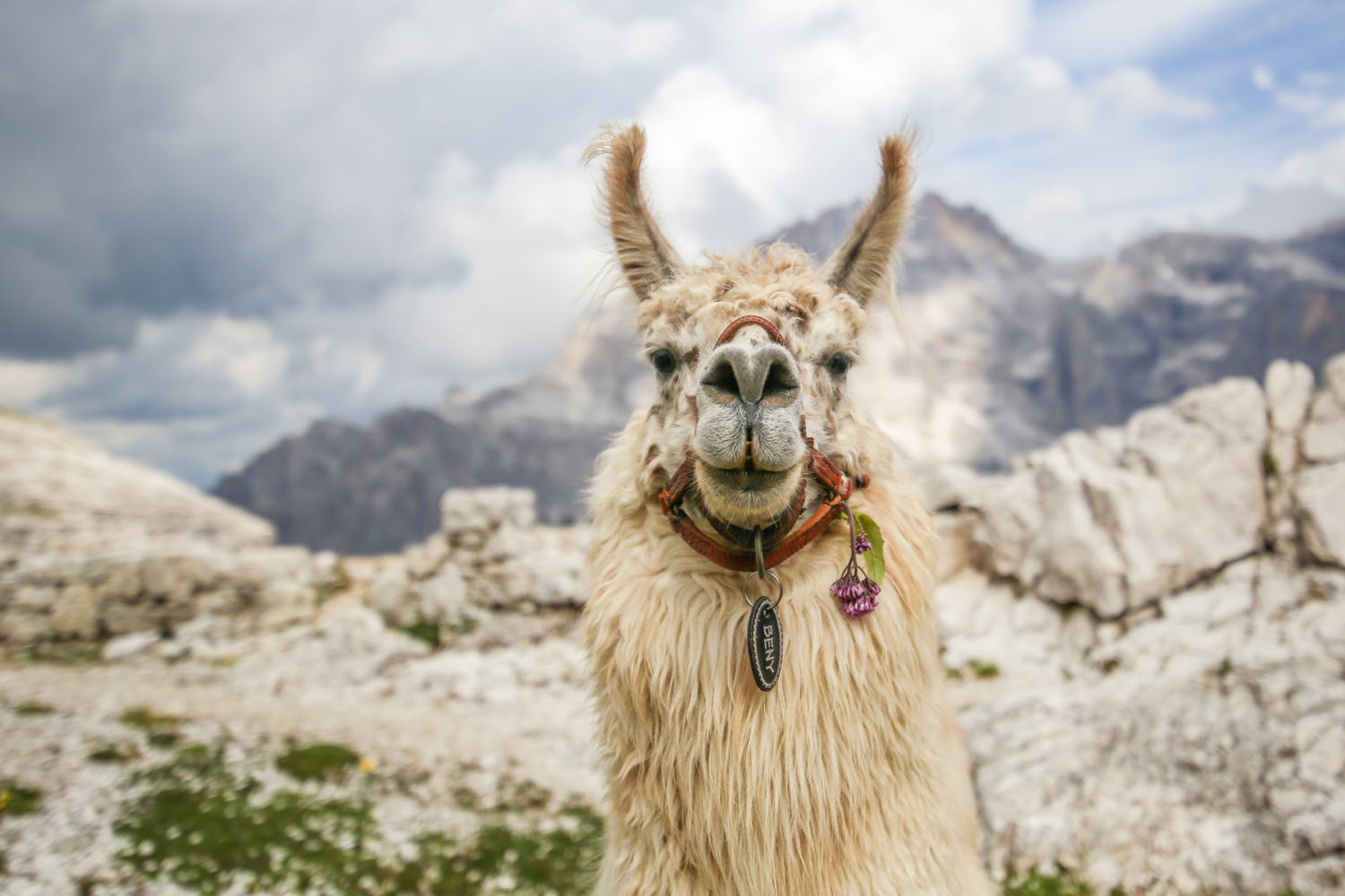 Dolomites Italy | How Far From Home