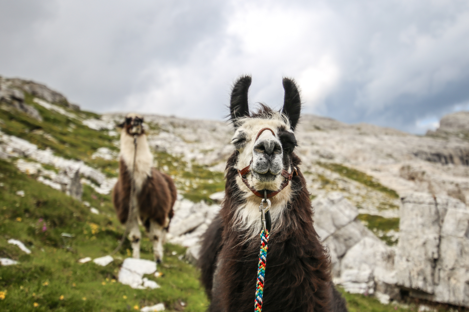 Dolomites Italy | How Far From Home