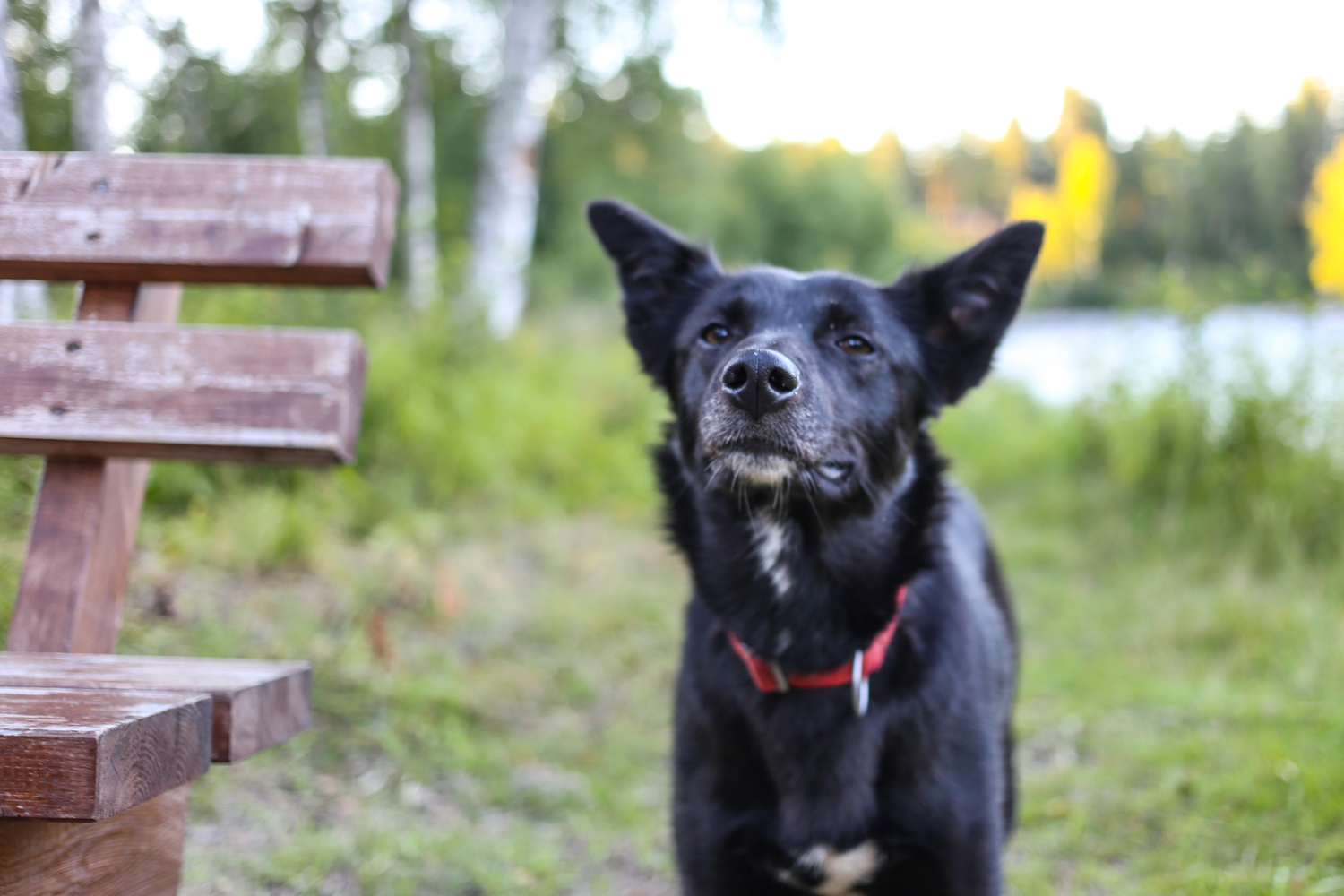Skelleftea Sweden | How Far From Home