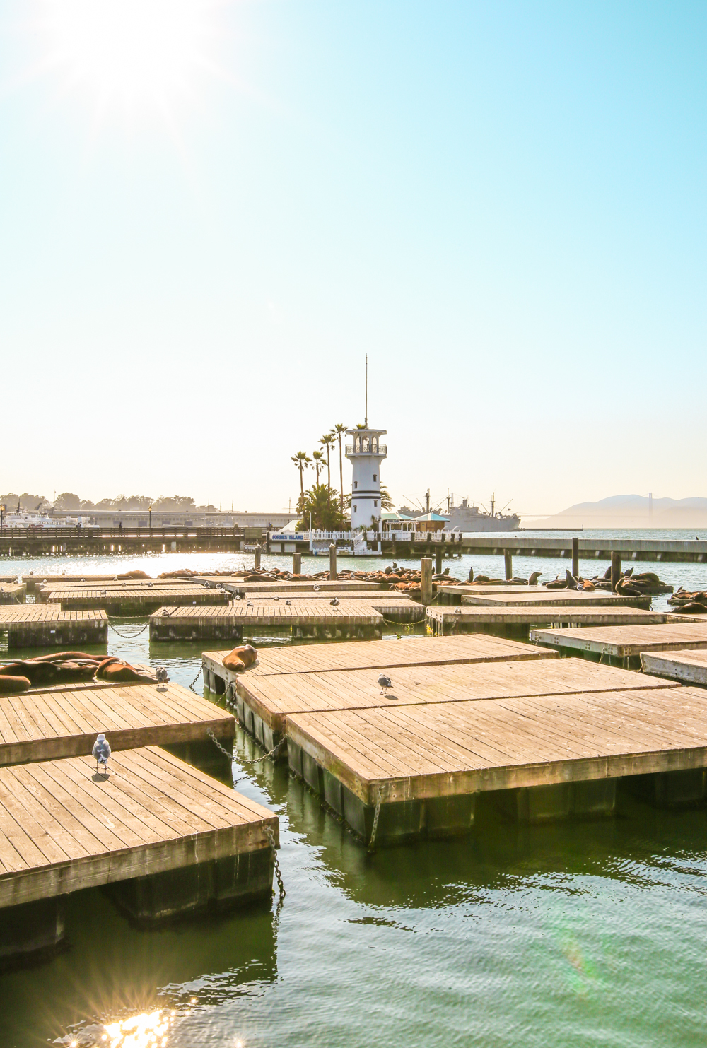 San Francisco USA | How Far From Home
