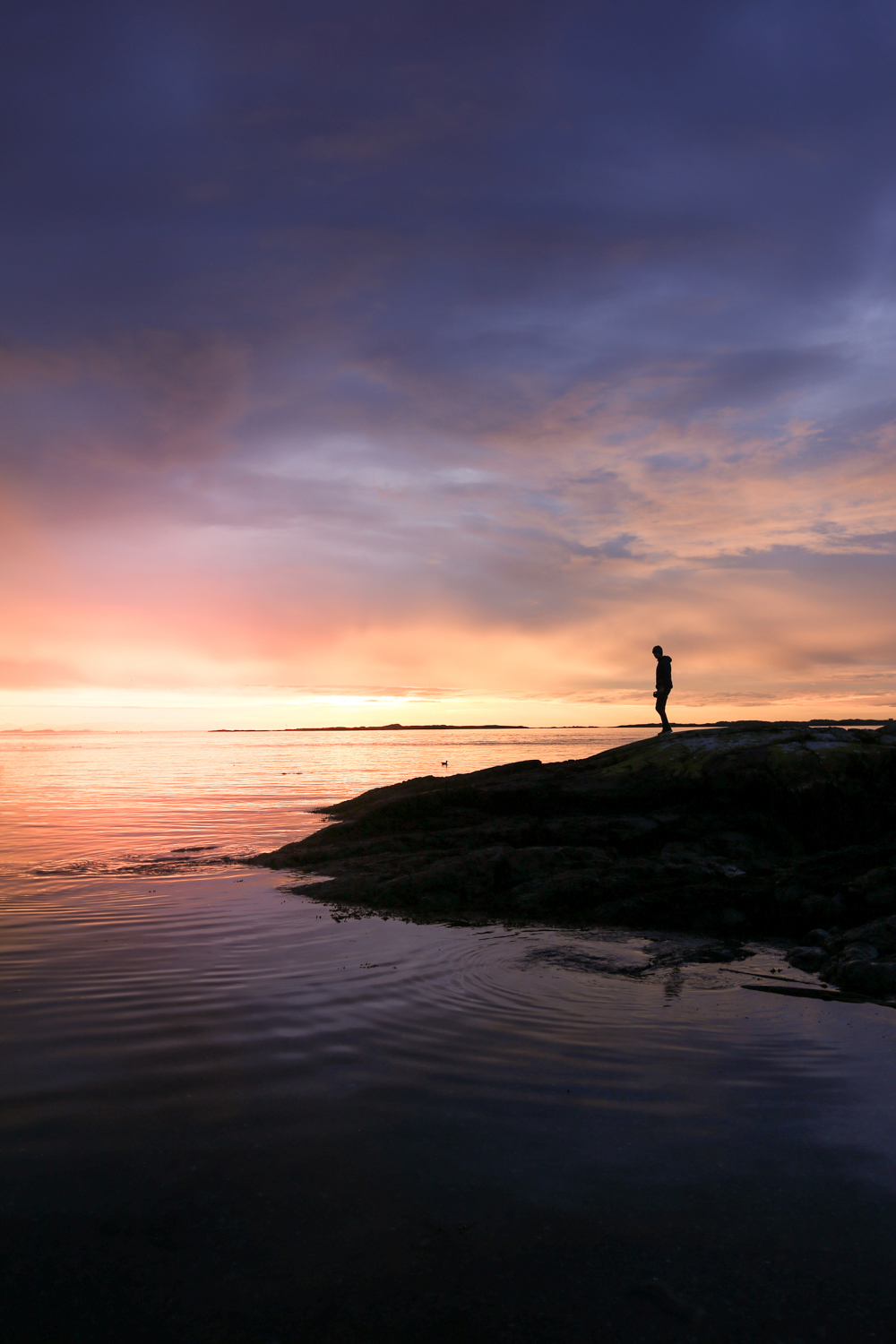 Victoria Canada | How Far From Home