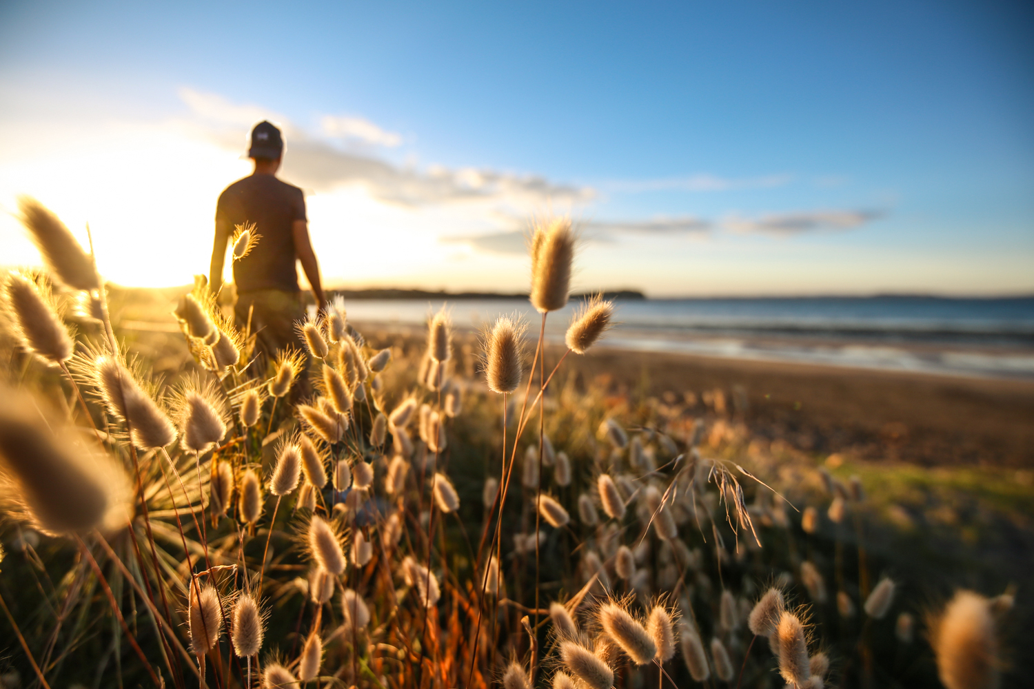Auckland New Zealand | How Far From Home