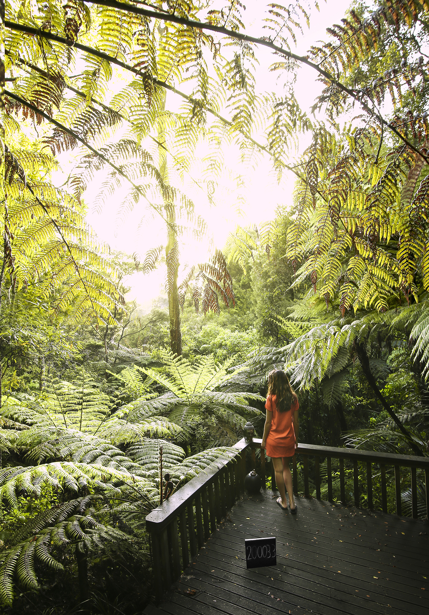 Auckland New Zealand | How Far From Home