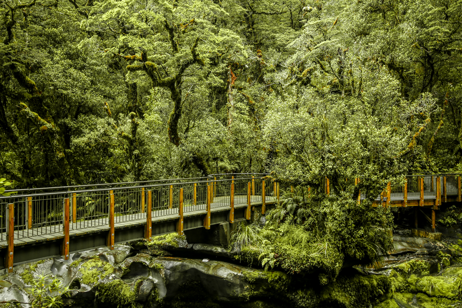 Queenstown New Zealand | How Far From Home