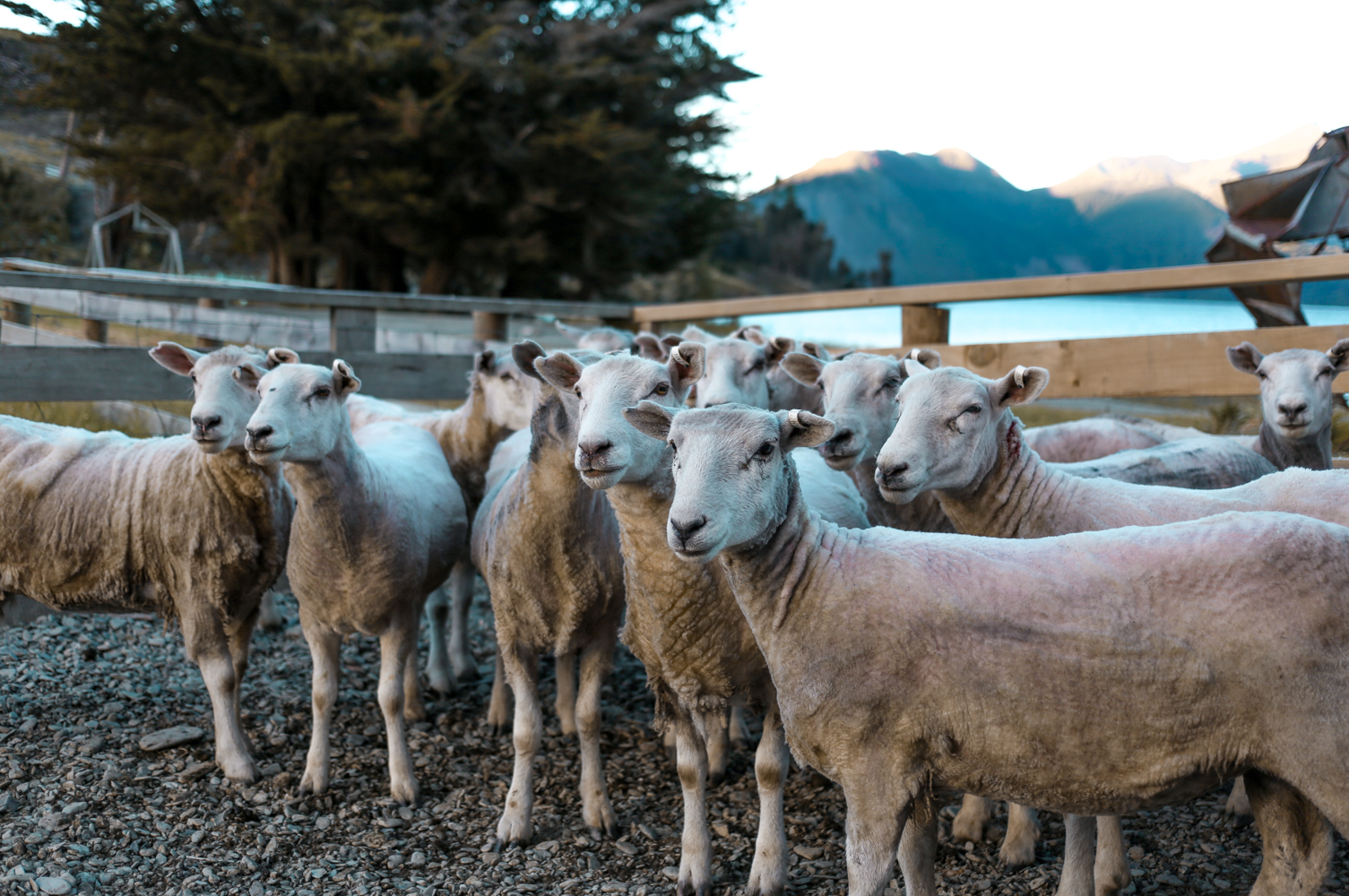 Queenstown New Zealand | How Far From Home