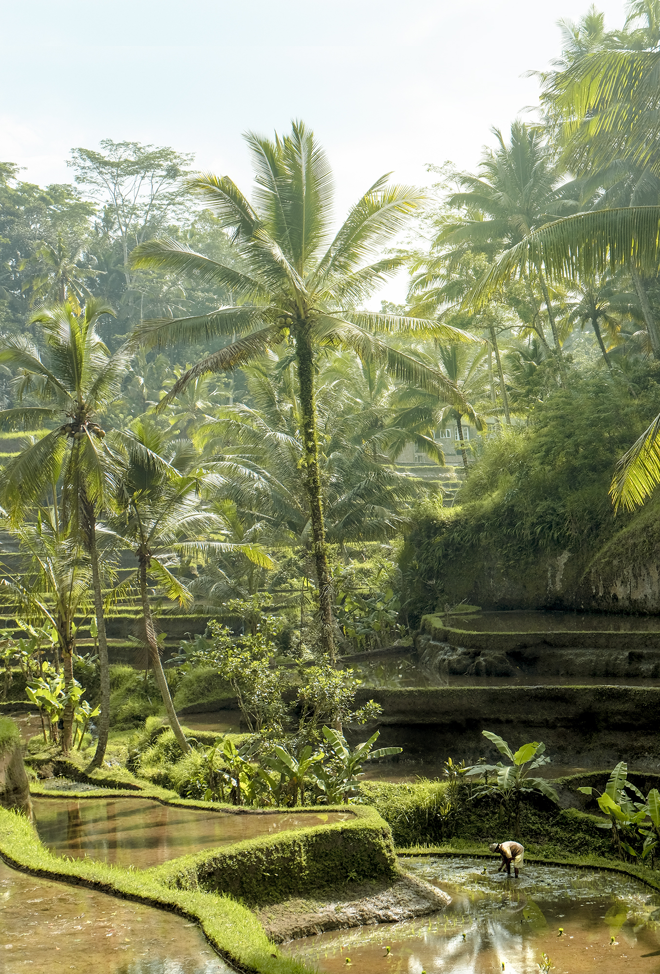 Bali-S38-LR