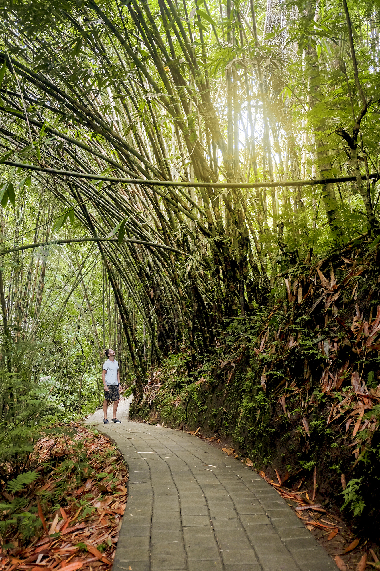 Padma Resort Ubud | How Far From Home
