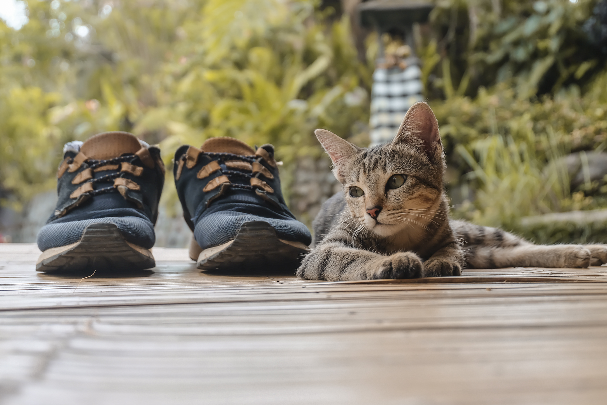 Hideout Bali | How Far From Home