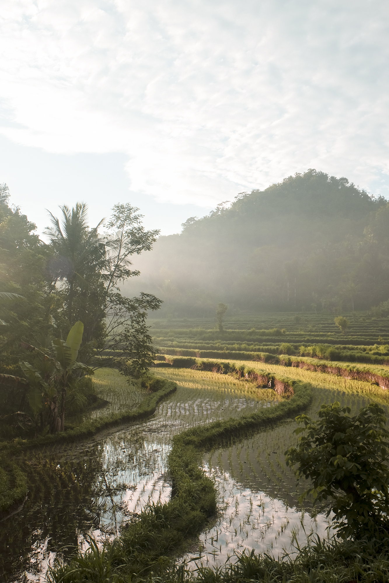 Hideout Bali | How Far From Home