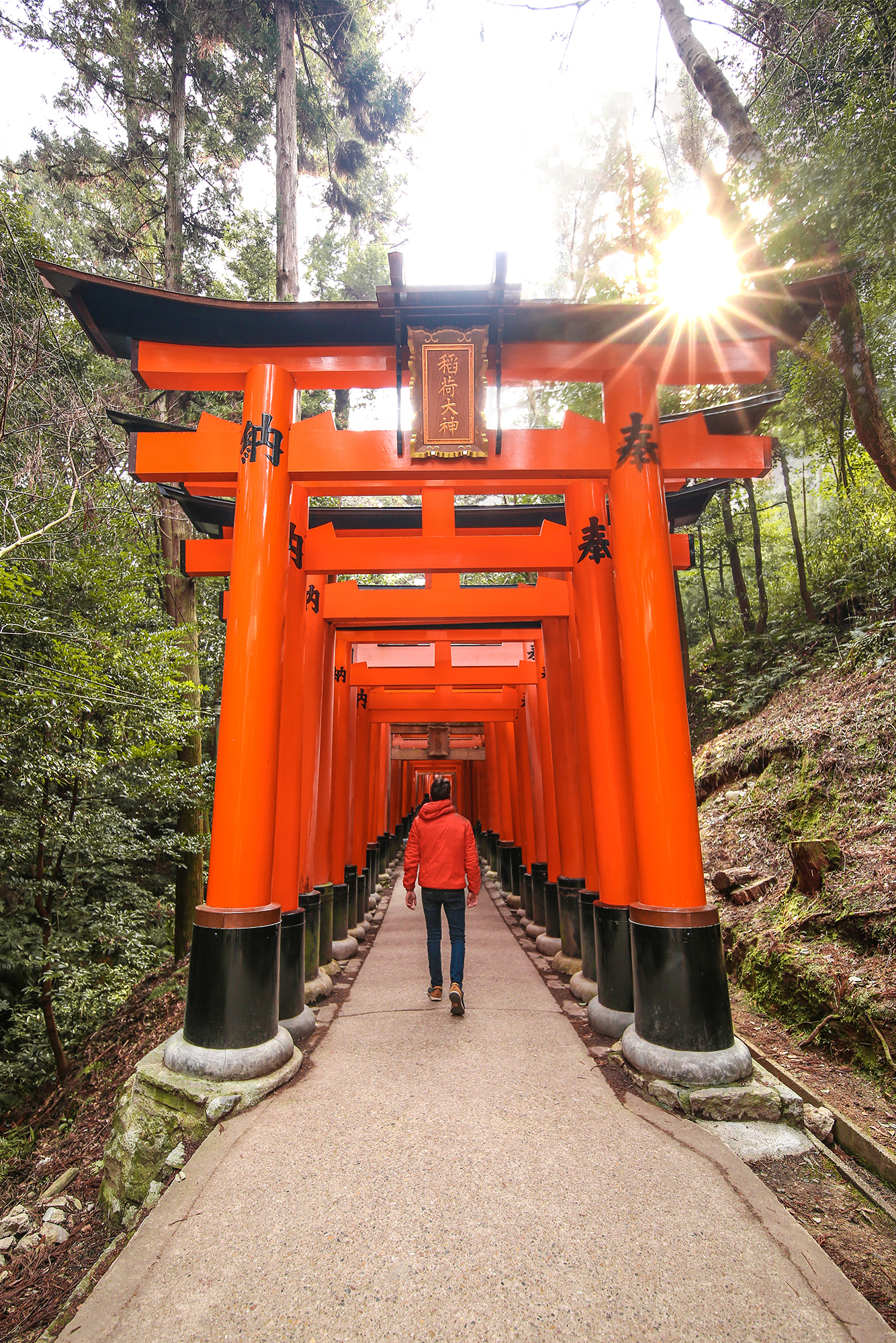 Kyoto Japan | How Far From Home