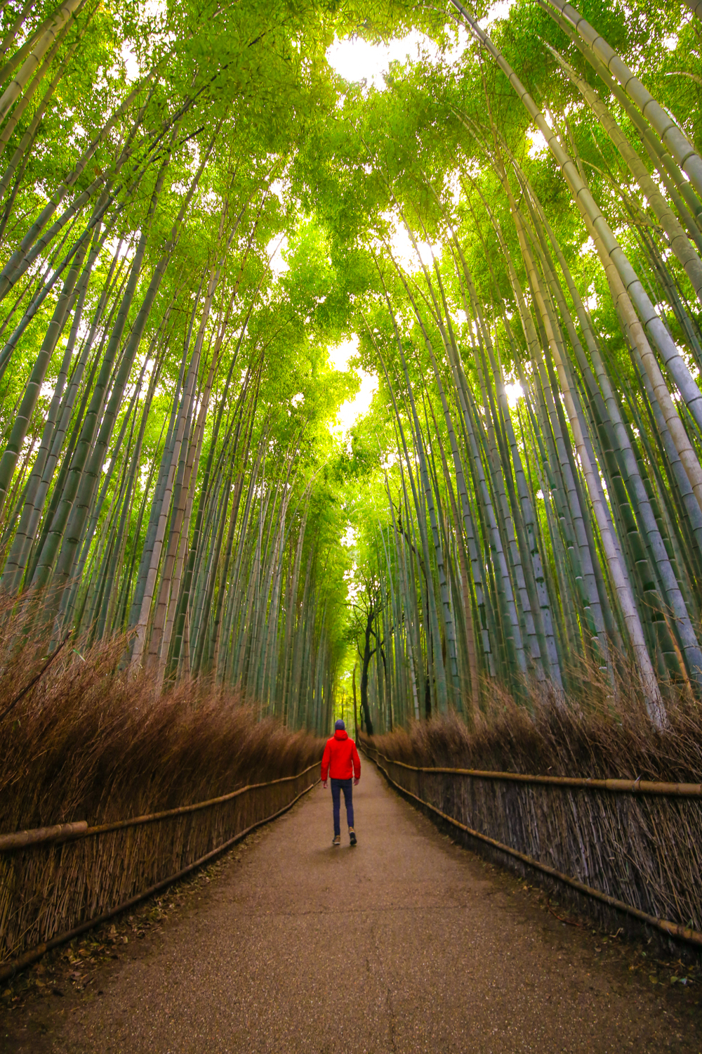 Kyoto Japan | How Far From Home