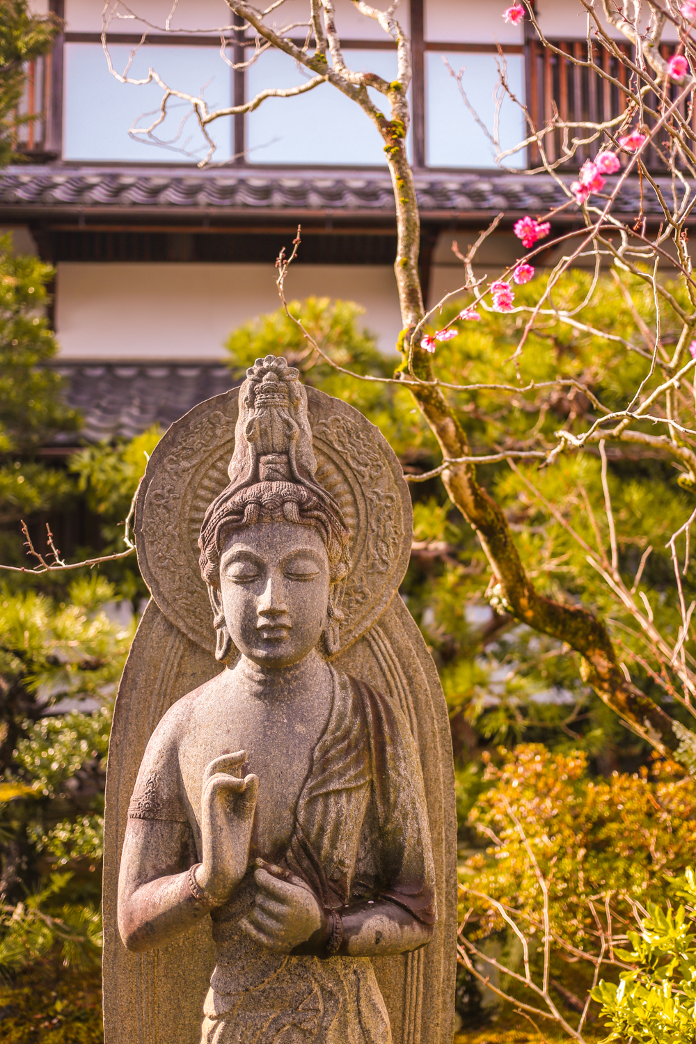 Kyoto Japan | How Far From Home