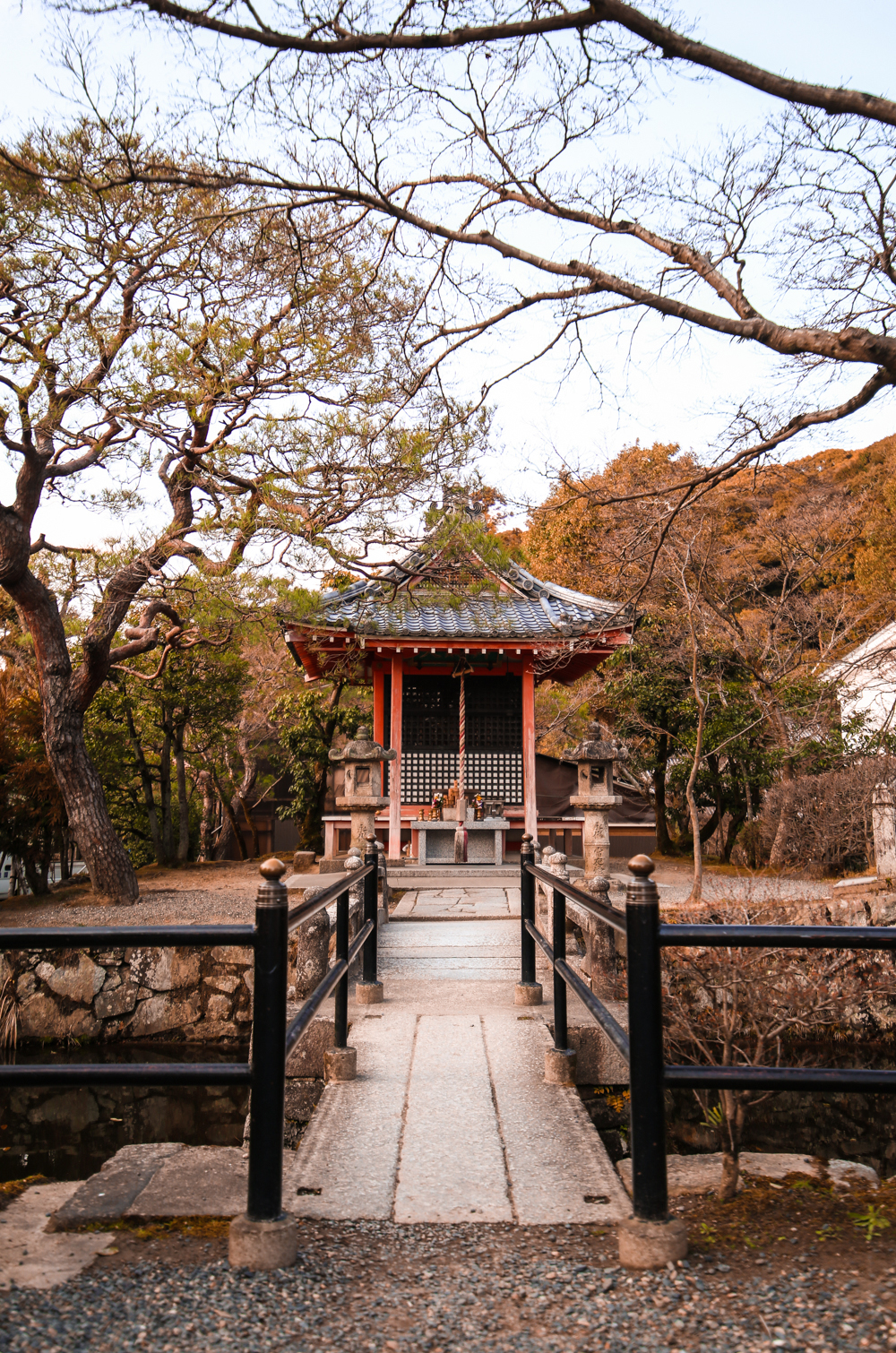 Kyoto-C62-LR