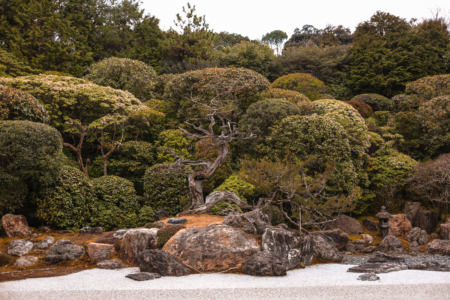 Kyoto-C78-LR
