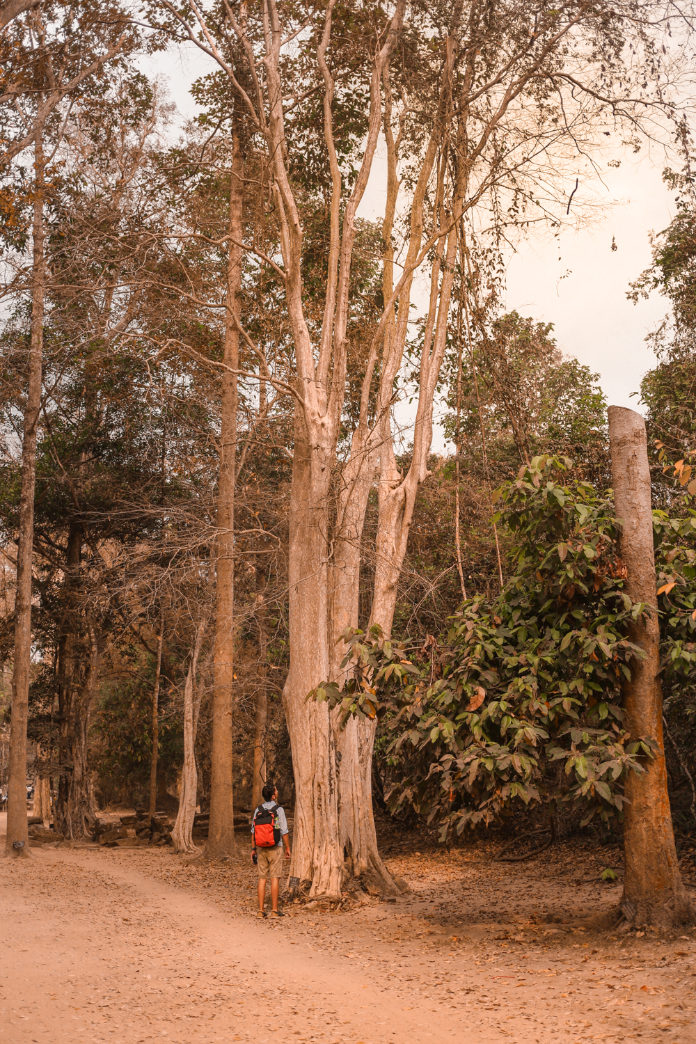 Angkor Wat Cambodia | How Far From Home