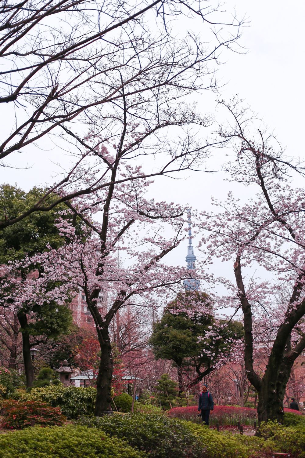 Tokyo Japan | How Far From Home