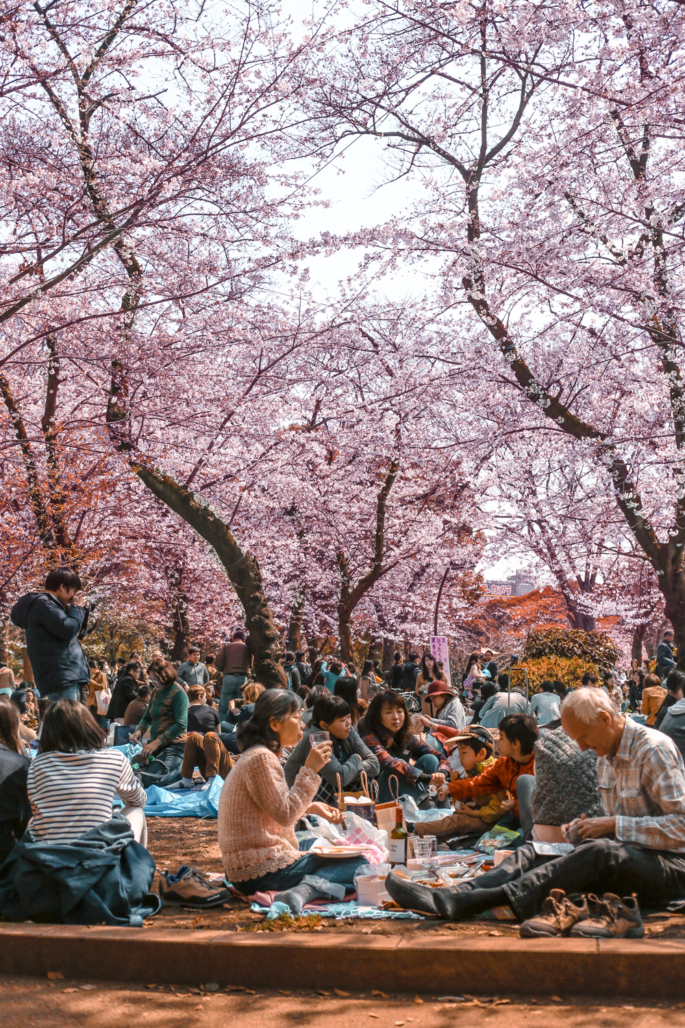 Tokyo Japan | How Far From Home