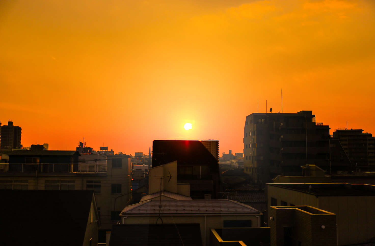 Tokyo Japan | How Far From Home