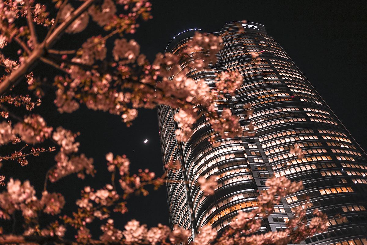 Tokyo Japan | How Far From Home