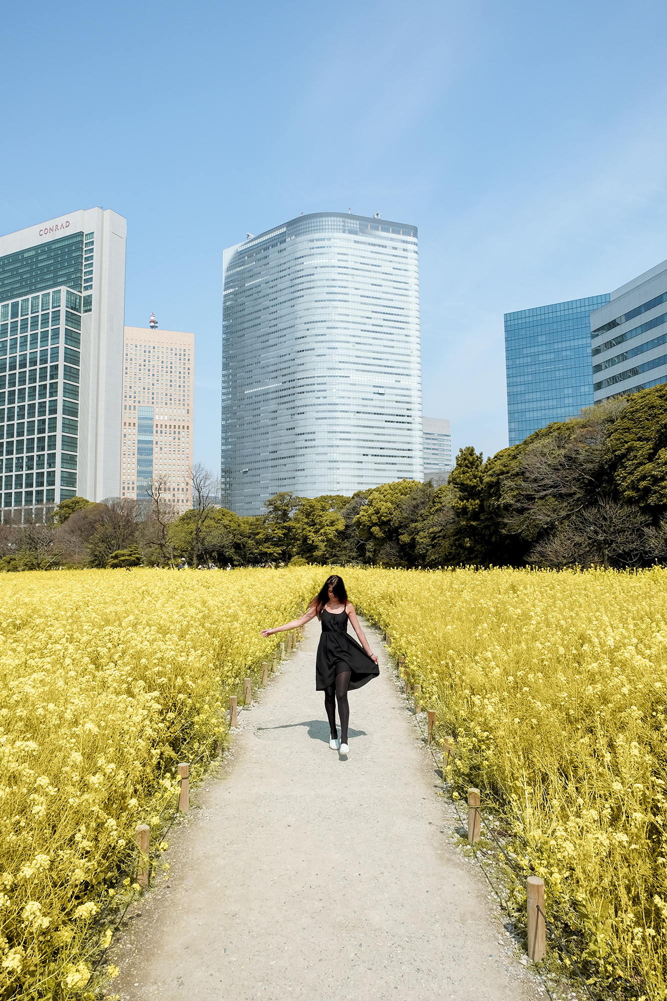 Tokyo Japan | How Far From Home