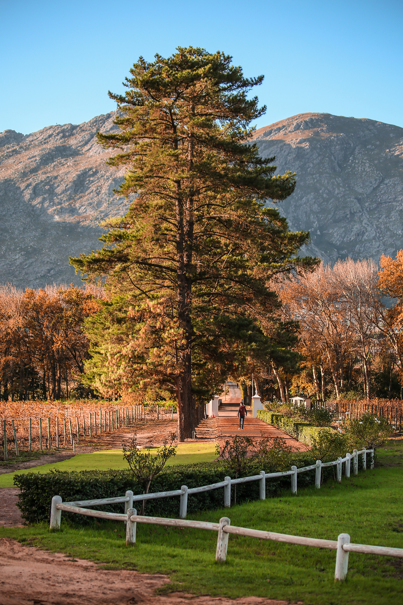Franschhoek South Africa | How Far From Home