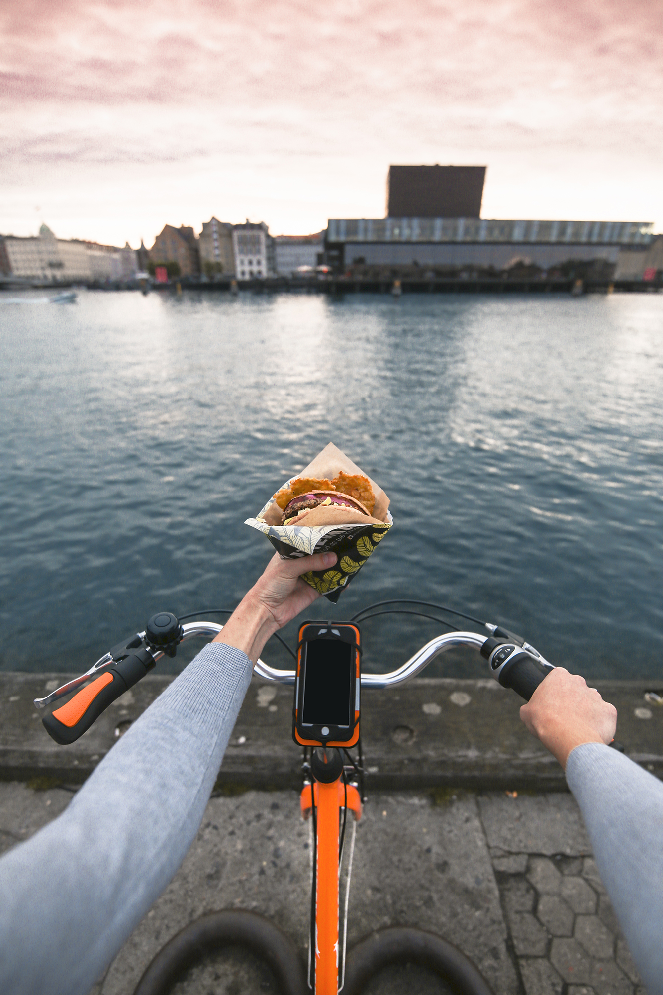 TourDeDonkey Copenhagen | How Far From Home