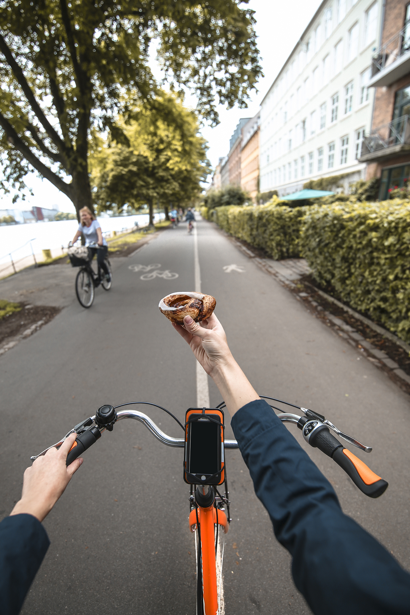 TourDeDonkey Copenhagen | How Far From Home